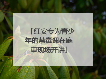 红安专为青少年的禁毒课在庭审现场开讲