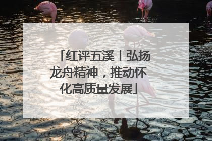 红评五溪丨弘扬龙舟精神，推动怀化高质量发展