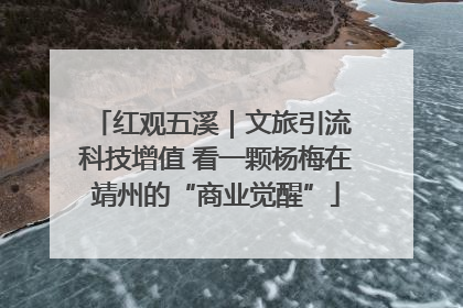 红观五溪｜文旅引流 科技增值 看一颗杨梅在靖州的“商业觉醒”