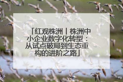 红观株洲丨株洲中小企业数字化转型：从试点破局到生态重构的进阶之路