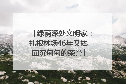 绿荫深处文明家：扎根林场46年又捧回沉甸甸的荣誉