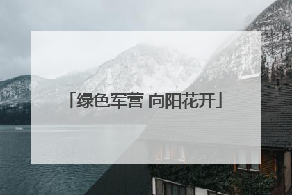 绿色军营 向阳花开