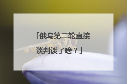 俄乌第二轮直接谈判谈了啥？