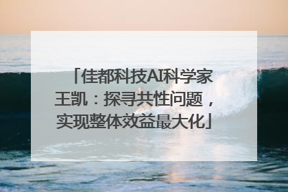 佳都科技AI科学家王凯：探寻共性问题，实现整体效益最大化