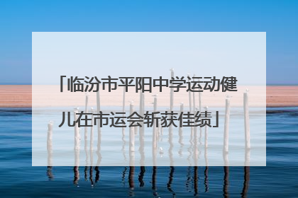 临汾市平阳中学运动健儿在市运会斩获佳绩