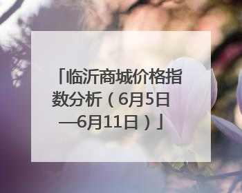 临沂商城价格指数分析（6月5日—6月11日）