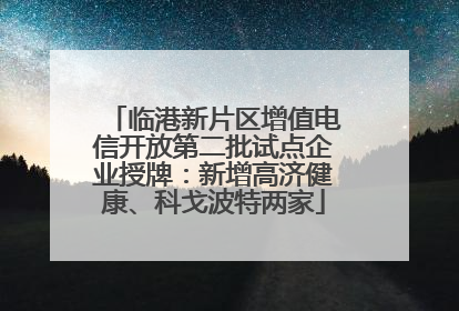 临港新片区增值电信开放第二批试点企业授牌：新增高济健康、科戈波特两家