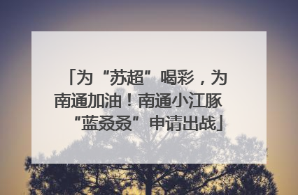 为“苏超”喝彩，为南通加油！南通小江豚“蓝叒叒”申请出战