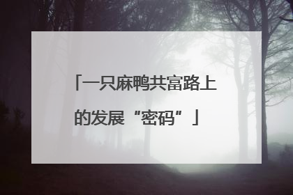 一只麻鸭共富路上的发展“密码”