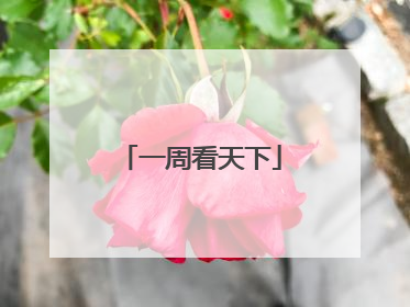 一周看天下