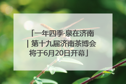 一年四季·泉在济南｜第十九届济南茶博会将于6月20日开幕