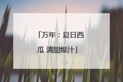 万年：夏日西瓜 清甜爆汁