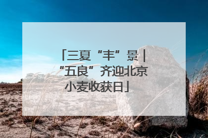 三夏“丰”景｜“五良”齐迎北京小麦收获日