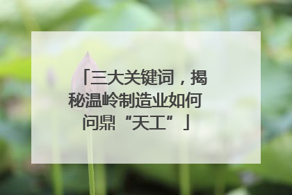 三大关键词，揭秘温岭制造业如何问鼎“天工”