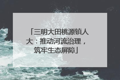 三明大田桃源镇人大：推动河流治理，筑牢生态屏障