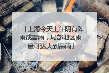上海今天上午阴有阵雨或雷雨，局部地区雨量可达大到暴雨