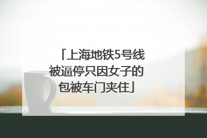 上海地铁5号线被逼停只因女子的包被车门夹住