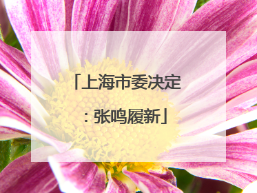 上海市委决定：张鸣履新