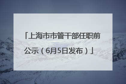 上海市市管干部任职前公示（6月5日发布）