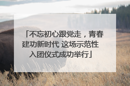 不忘初心跟党走，青春建功新时代 这场示范性入团仪式成功举行