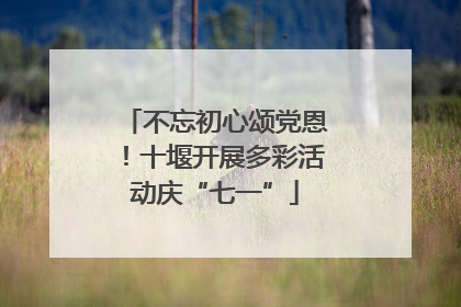 不忘初心颂党恩！十堰开展多彩活动庆“七一”