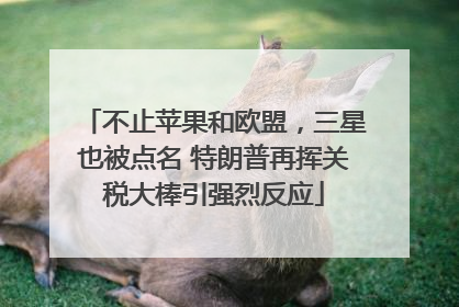 不止苹果和欧盟，三星也被点名 特朗普再挥关税大棒引强烈反应