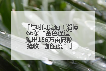 与时间竞速！淄博66条“金色通道”跑出156万亩夏粮抢收“加速度”