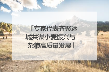 专家代表齐聚冰城共谋小麦振兴与杂粮高质量发展