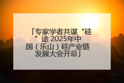 专家学者共谋“硅”途 2025年中国（乐山）硅产业链发展大会开幕