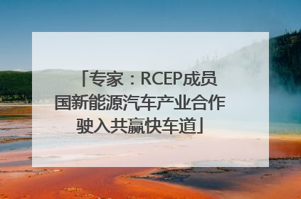 专家：RCEP成员国新能源汽车产业合作驶入共赢快车道