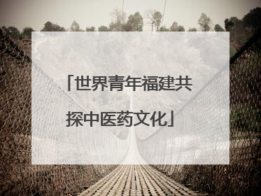 世界青年福建共探中医药文化