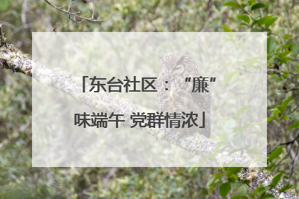 东台社区：“廉”味端午 党群情浓