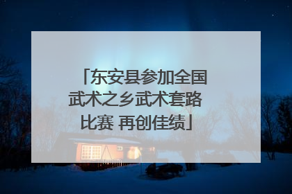 东安县参加全国武术之乡武术套路比赛 再创佳绩