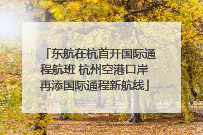 东航在杭首开国际通程航班 杭州空港口岸再添国际通程新航线