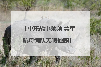 中东战事频频 美军航母编队无暇他顾