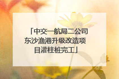 中交一航局二公司东沙渔港升级改造项目灌柱桩完工