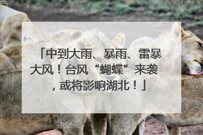 中到大雨、暴雨、雷暴大风！台风“蝴蝶”来袭，或将影响湖北！