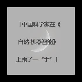 中国科学家在《自然·机器智能》上露了一“手”