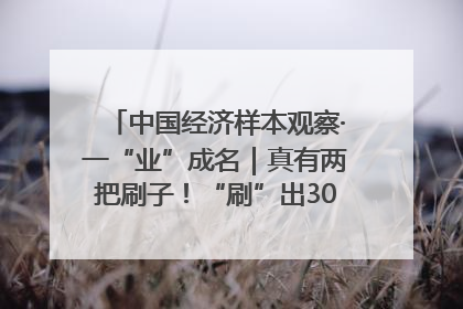 中国经济样本观察·一“业”成名｜真有两把刷子！“刷”出30亿级“颜值经济”