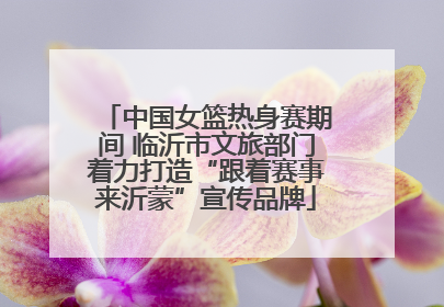 中国女篮热身赛期间 临沂市文旅部门着力打造“跟着赛事来沂蒙”宣传品牌