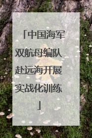 中国海军双航母编队赴远海开展实战化训练