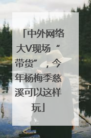 中外网络大V现场“带货”，今年杨梅季慈溪可以这样玩