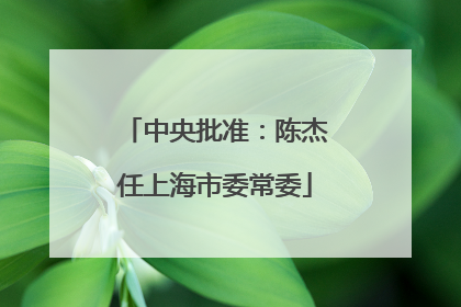 中央批准：陈杰任上海市委常委