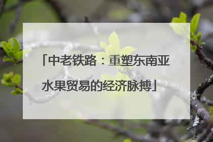 中老铁路：重塑东南亚水果贸易的经济脉搏