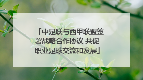 中足联与西甲联盟签署战略合作协议 共促职业足球交流和发展