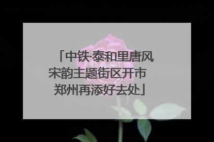 中铁·泰和里唐风宋韵主题街区开市 郑州再添好去处