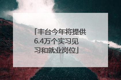 丰台今年将提供6.4万个实习见习和就业岗位