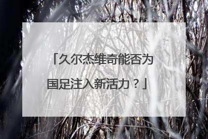 久尔杰维奇能否为国足注入新活力？
