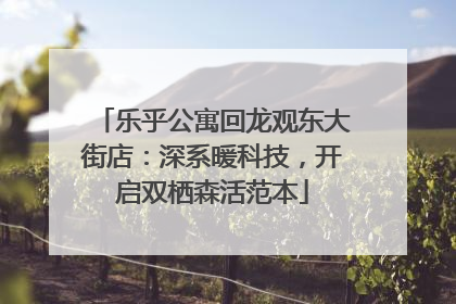 乐乎公寓回龙观东大街店：深系暖科技，开启双栖森活范本
