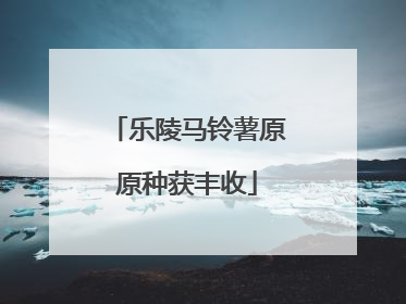 乐陵马铃薯原原种获丰收